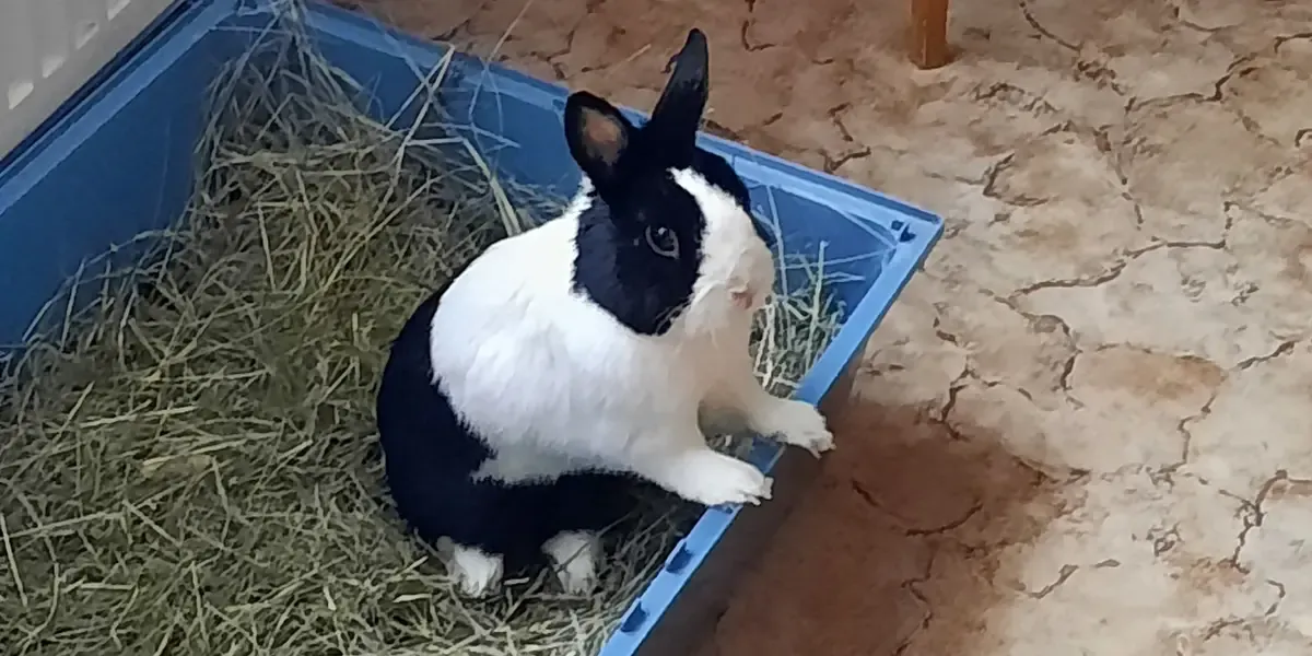 Úvodní fotka